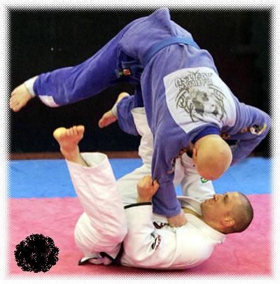 bjj.jpg